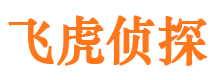 惠安市婚外情调查